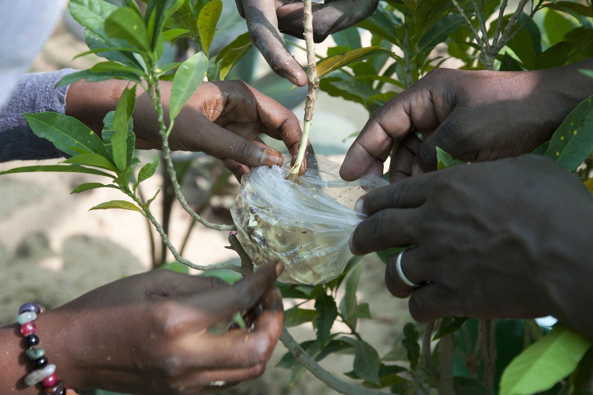 RT @ASteiner: Each of us can act to help others. Humanitarian action helps us build a better world for all. #ShareHumanity http://t.co/z4lj…