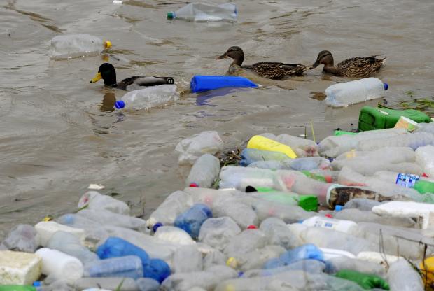 Research Paper On Environmental Pollution