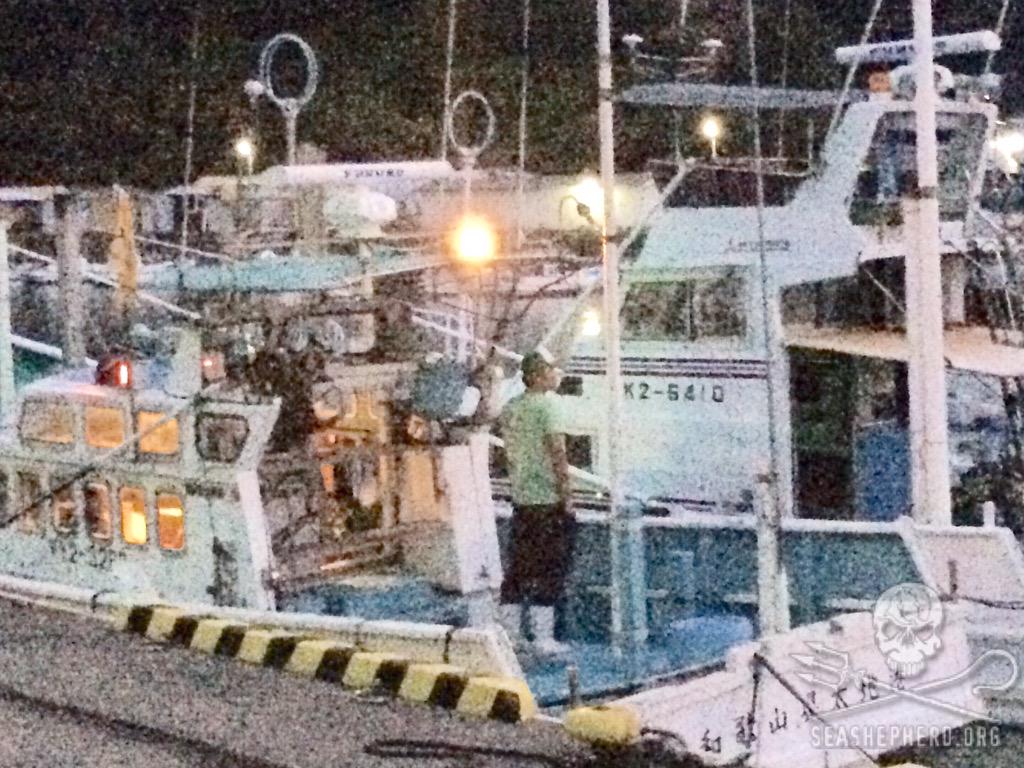 RT @CoveGuardians: Vessels headed out of port to stalk innocent Dolphins. 1st hunting day of season #Tweet4Taiji #OpHenkaku 5:16am http://t…