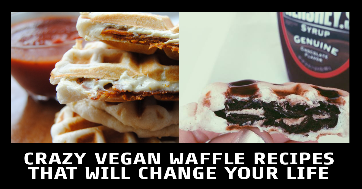 RT @peta2: It's #NationalWaffleDay!

Wacky recipes you have to SEE to believe: http://t.co/IlV9Gm7X21 http://t.co/A9MjXWSNl1