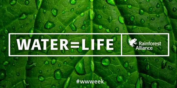 RT @RnfrstAlliance: With 70% of water going to ag use, farmers are on the front lines of the water crisis: http://t.co/zhED8cagWY #wwweek h…