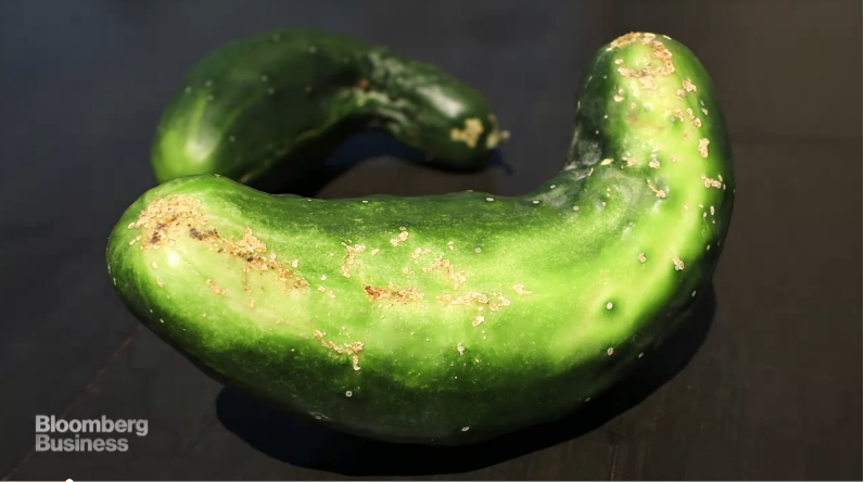 RT @business: A California startup is betting customers will find ugly produce delicious http://t.co/L3Ws5hxm0h http://t.co/3uWoUz8tju