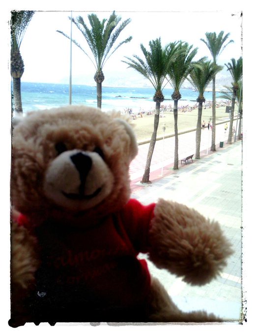 RT @TheCornishStore: #FalmouthFred has arrived! The palm trees, beach & sea remind him of #Falmouth so he's happy! #summer http://t.co/JK1m… palm beach from twitter @catherineayress