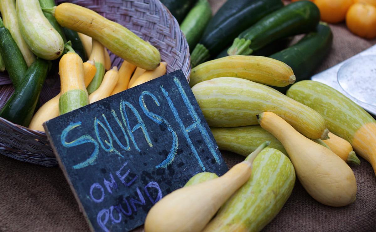 Squash Varieties Squash Varieties