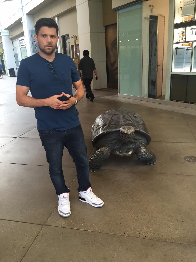 WTF. People been screaming TURTLE at me all day long. http://t.co/RwfbB89X5S