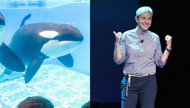 RT @MissionBlue: Ellen DeGeneres Hints At Anti @SeaWorld Message In '#FindingNemo' Sequel http://t.co/PYjyi2E2bR @thellenshow http://t.co/f…