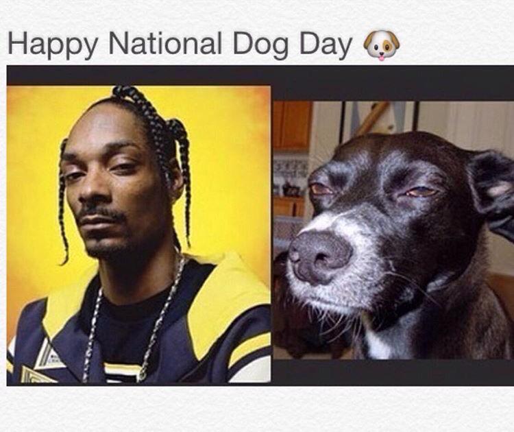 Haaaa I get a whole day now ?? ????????#NationalSnoopDay http://t.co/U7ZcNWphMt