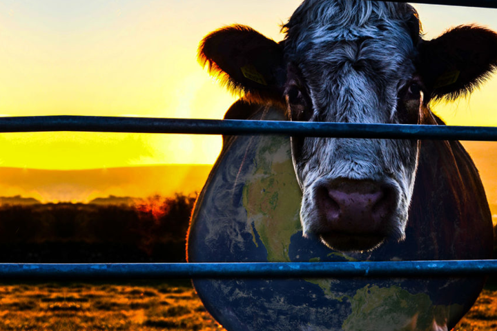 RT @decider: Exclusive interview with the directors of @Netflix's new controversial doc @Cowspiracy: http://t.co/LyZpapg6vz http://t.co/7Ic…