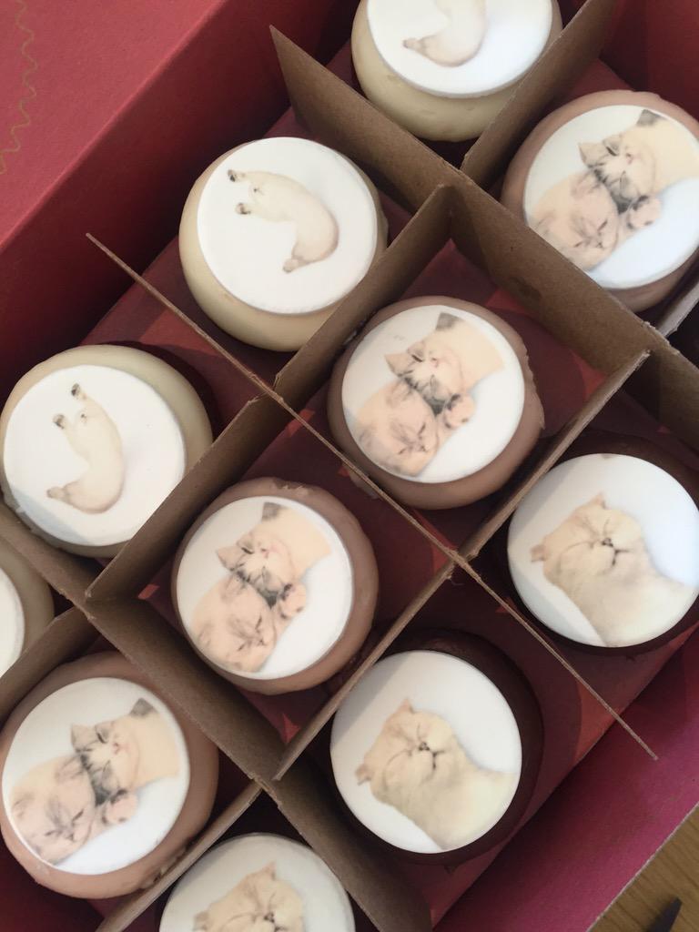 Whatdya get @taylorswift13 for her concert? #Catcakes of course! Thanks @sprinklescandac for making this happen. ???? http://t.co/D2ZsmvVLGr