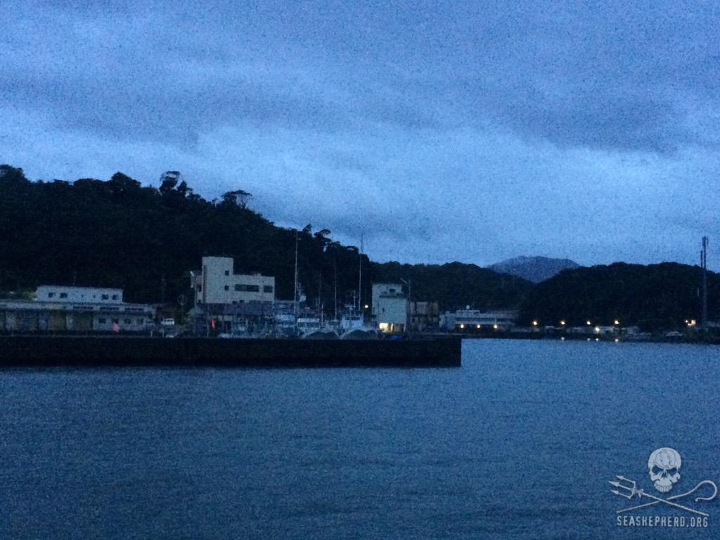 RT @CoveGuardians: Topical storm Etau keeps the hunting fleet in port for the day. This will be BLUE COVE DAY #9! 05:40am #tweet4taiji http…