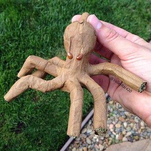 #420smokebreak http://t.co/ZB6ugAwN28
