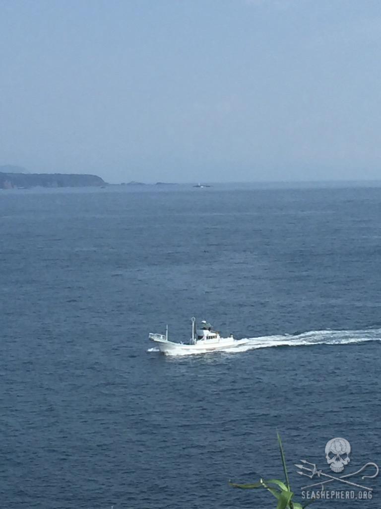 RT @CoveGuardians: All vessels back in.  Blue Cove day 10!! #Tweet4Taiji #OpHenkaku http://t.co/JnE93gf1wE