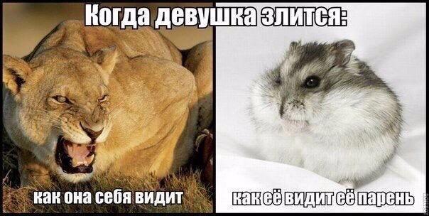 Как девушки обижаются