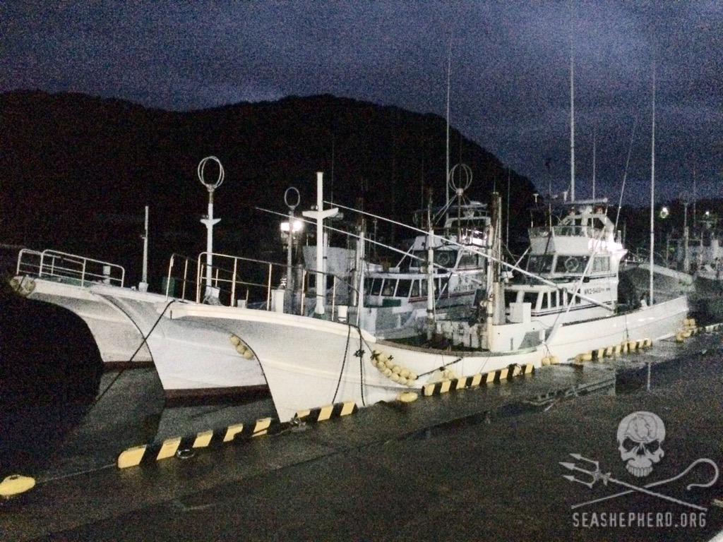 RT @CoveGuardians: Another day of bad weather keeps the hunters in.  BLUE COVE DAY!
#tweet4taiji #OpHenkaku 4:59am http://t.co/ZQg88qhmGh