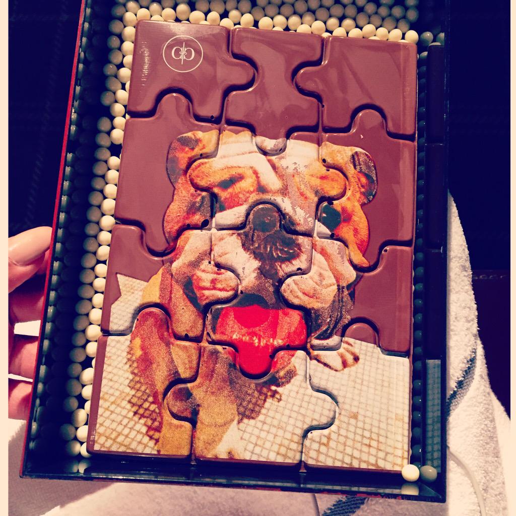 Chocolate Bulldog. So Cute. So Yummy ???? http://t.co/yOMyizvuyD
