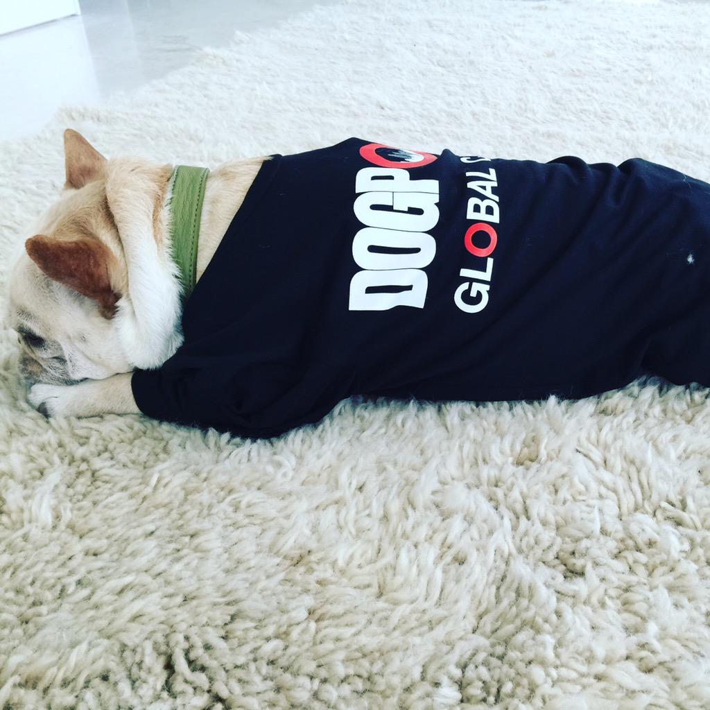 Dali is doing his part to end global poverty by the year 2030. Tomorrow -  Central Park!  @GlblCtzn @Hughcevans http://t.co/moRJjpAg9q