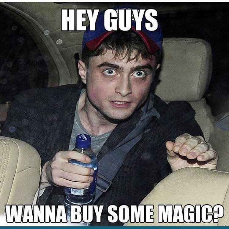 Harry pot !!!????????⛅️ http://t.co/T09JzZ6tl8 http://t.co/fEAspq1mYq