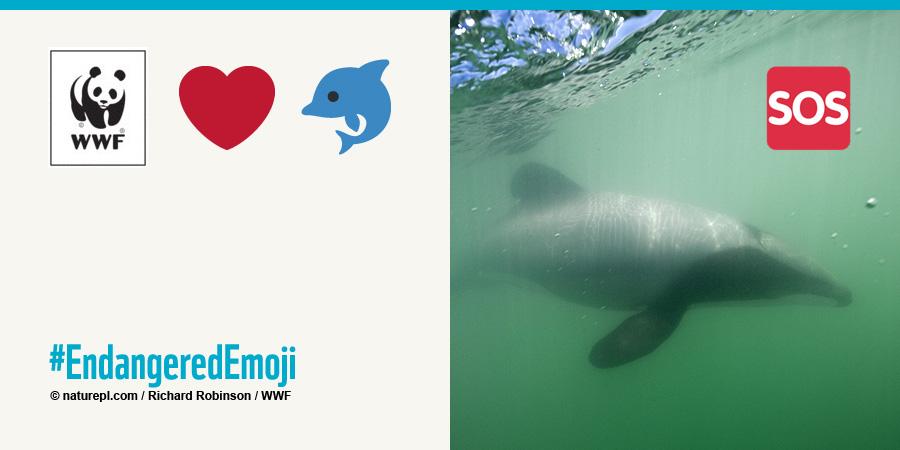 RT @WWF: ???? Due to entanglement, only 55 Maui’s Dolphins remain #WorldAnimalDay #EndangeredEmoji http://t.co/B9BWioNaQ1 http://t.co/DYXPtWV4…