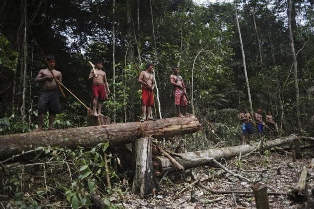 RT @Greenpeace: Megadams threaten the Amazon and the Indigenous Peoples who live there http://t.co/Gt1bRRgCHT #Tapajos http://t.co/c7EqJgrr…