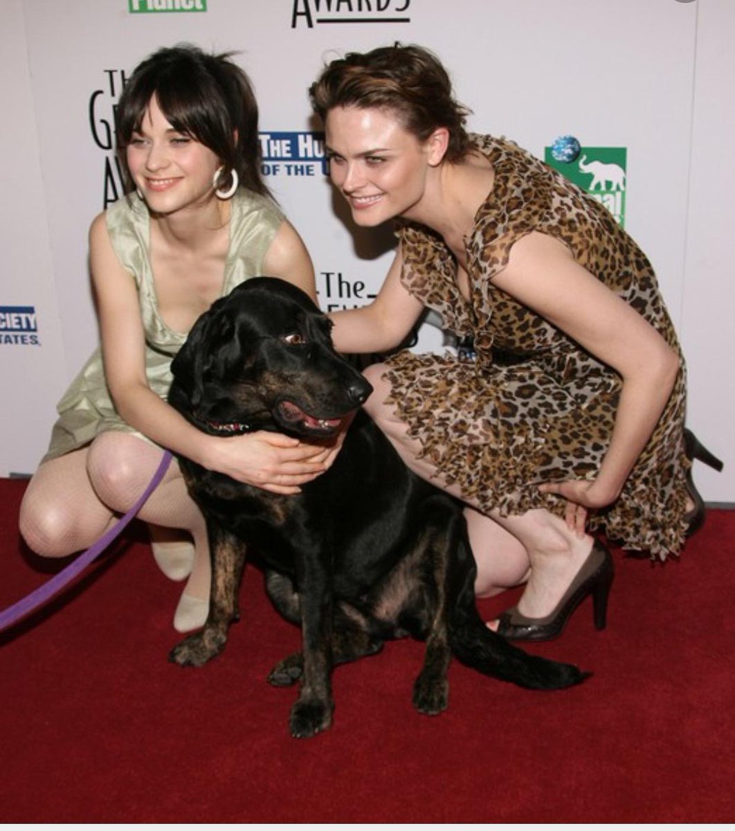 Happy birthday to my sister Emily! Here we are with someone else’s dog. http://t.co/nEtXwrePM7