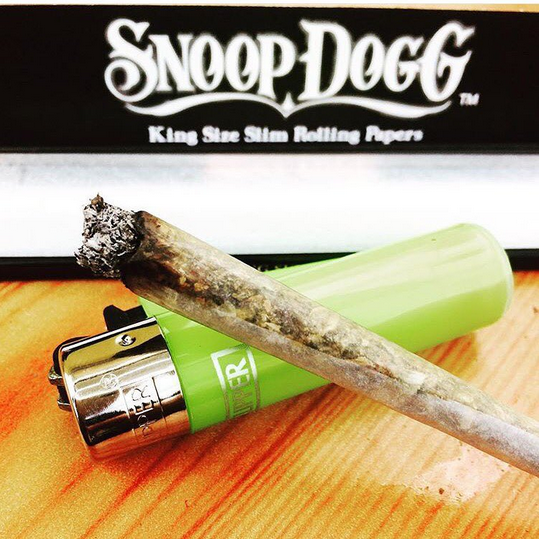 RT @ExecBranch: Lighter ✅ Snoop Dogg Rolling Papers ✅ http://t.co/NFLyUxy95m