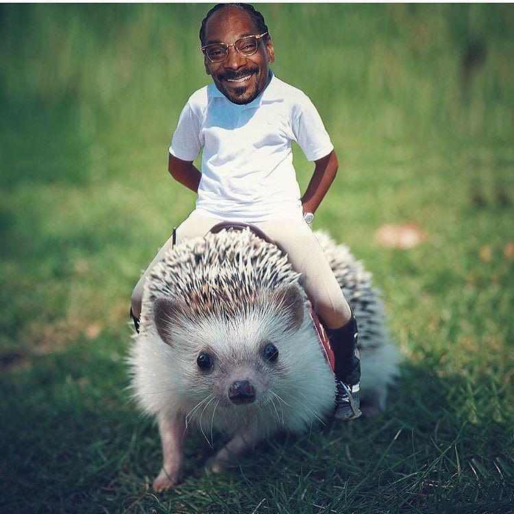 Who made this. ???????????????????? http://t.co/poNNFRbN7s http://t.co/8DddQkvNLL
