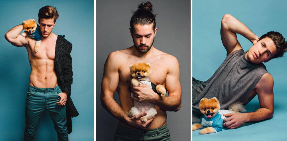 RT @BuzzFeed: Please enjoy these gratuitous photos of hot men and Jiff the Pomeranian https://t.co/bDvieA3lal https://t.co/B5GLsT2nYg