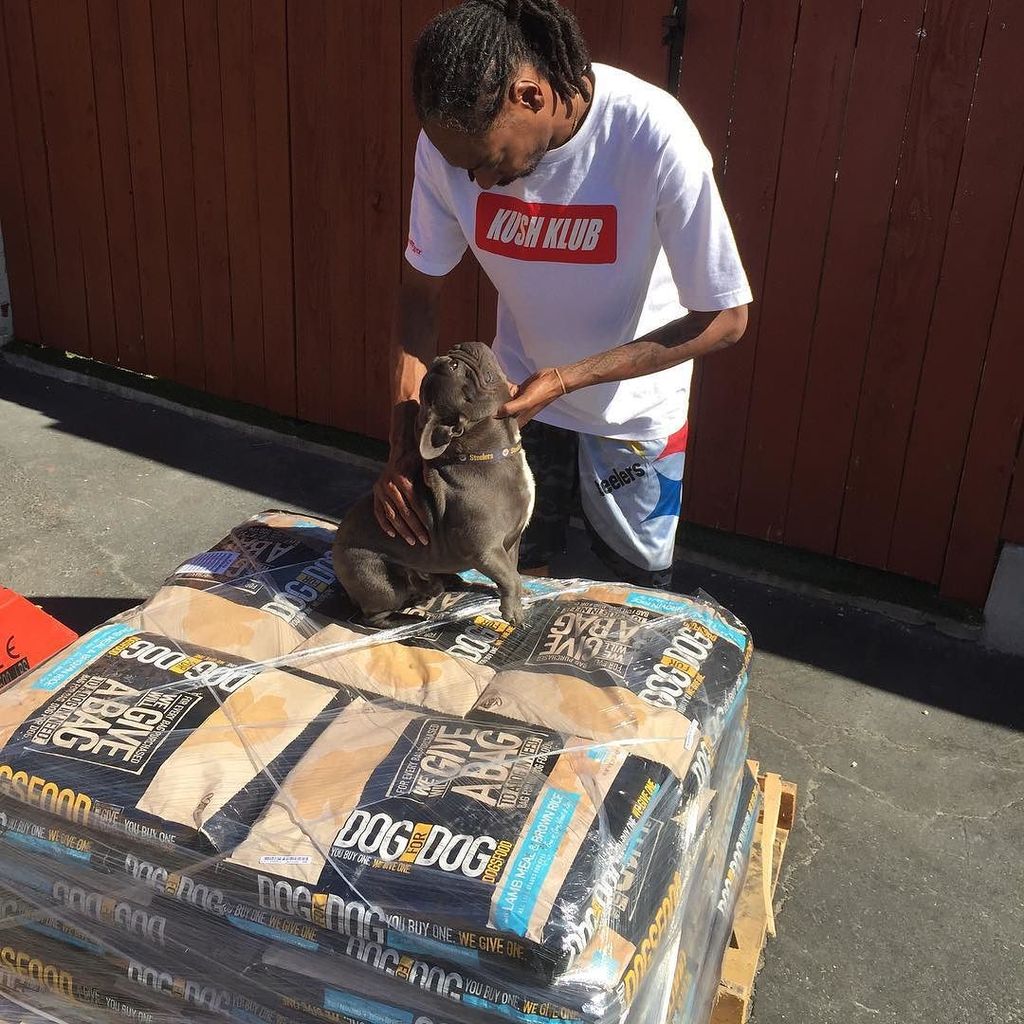 Get your dogg for dogg food so u can help save. A doggs life so says @juelzbroadus https://t.co/WiLxh36yPL https://t.co/Pcg6ykXtSE
