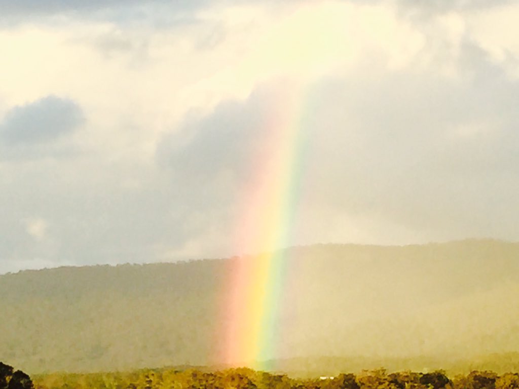 Rainbow https://t.co/xbZMrQGqkL