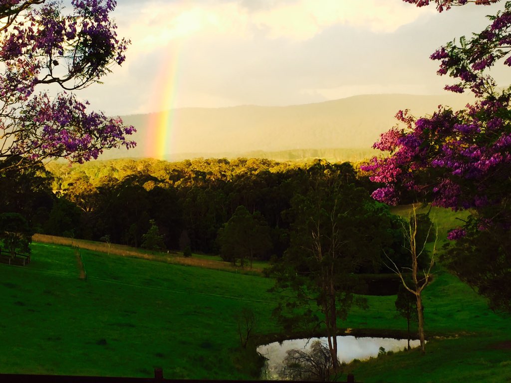 Rainbow and Jacaranda https://t.co/QSbqNHCiP6