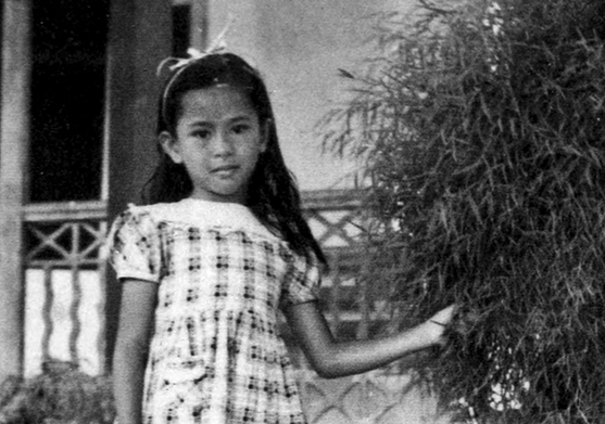 aung san suu kyi strenghts and weaknesses (daw aung san suu kyi) background and inspirations aung san suu kyi was the daughter of one of burma's most cherished heroes, the martyred general aung san, who led his country's fight for independence from great britain in the 1940s and was killed for his beliefs. aung san suu kyi strenghts and weaknesses (daw aung san suu kyi) background and inspirations aung san suu kyi was the daughter of one of burma's most cherished heroes, the martyred general aung san, who led his country's fight for independence from great britain in the 1940s and was killed for his beliefs.