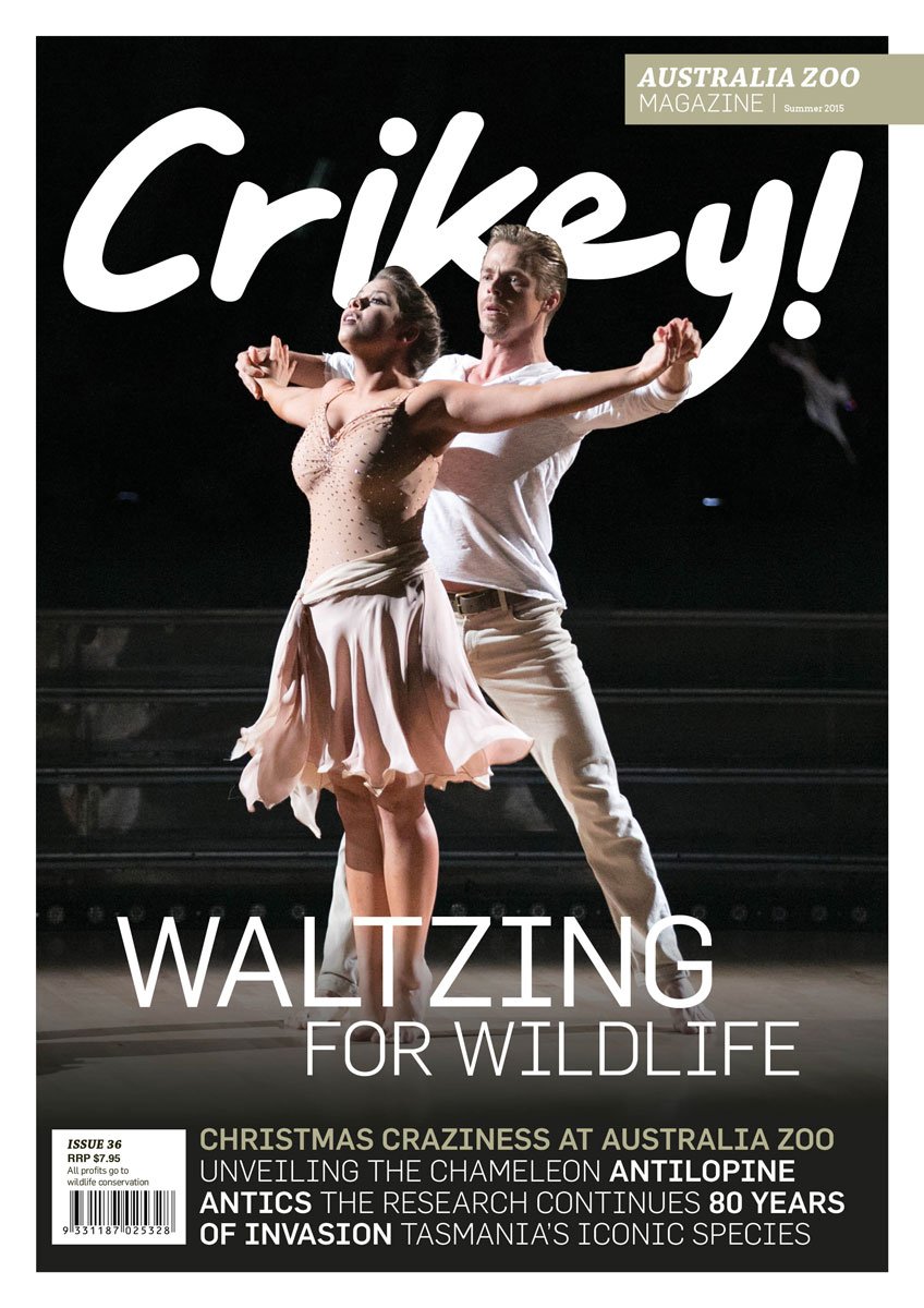 RT @AustraliaZoo: Next Crikey! mag cover: @BindiIrwin & @derekhough on @DancingABC! All proceeds to wildlife: https://t.co/6EOZ8gao69 https…