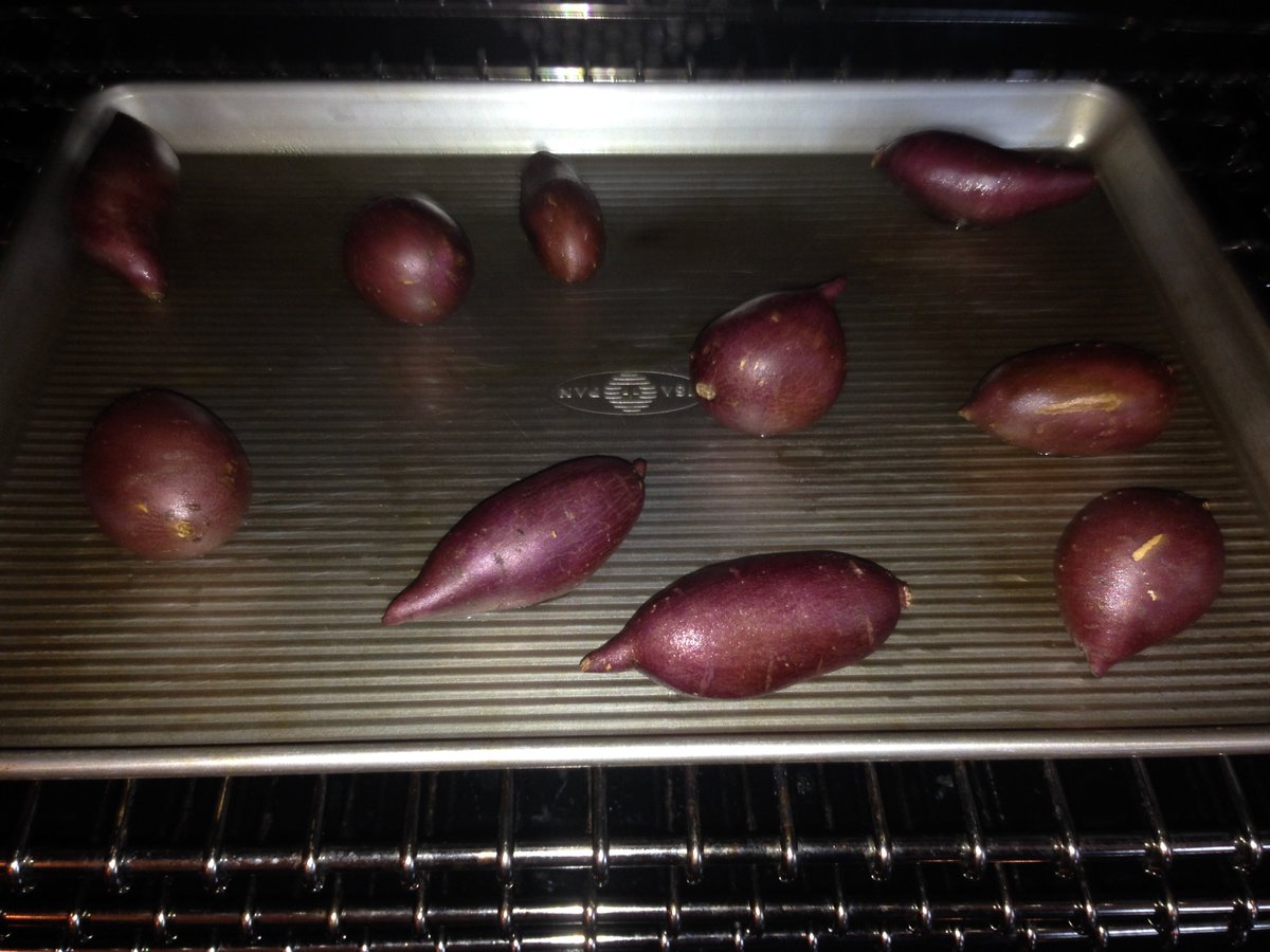 Tonight for dinner I'm making Bear some little sweet potatoes I got at the farmers market!! #gardenoflife https://t.co/ZuM6fwmNu5