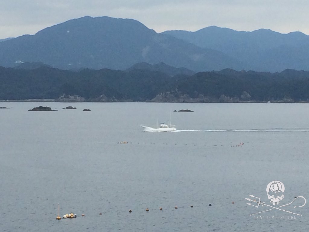 RT @CoveGuardians: 1010AM Last boat back. We have another BLUE COVE DAY! #tweet4taiji https://t.co/nn0FXgn1ra