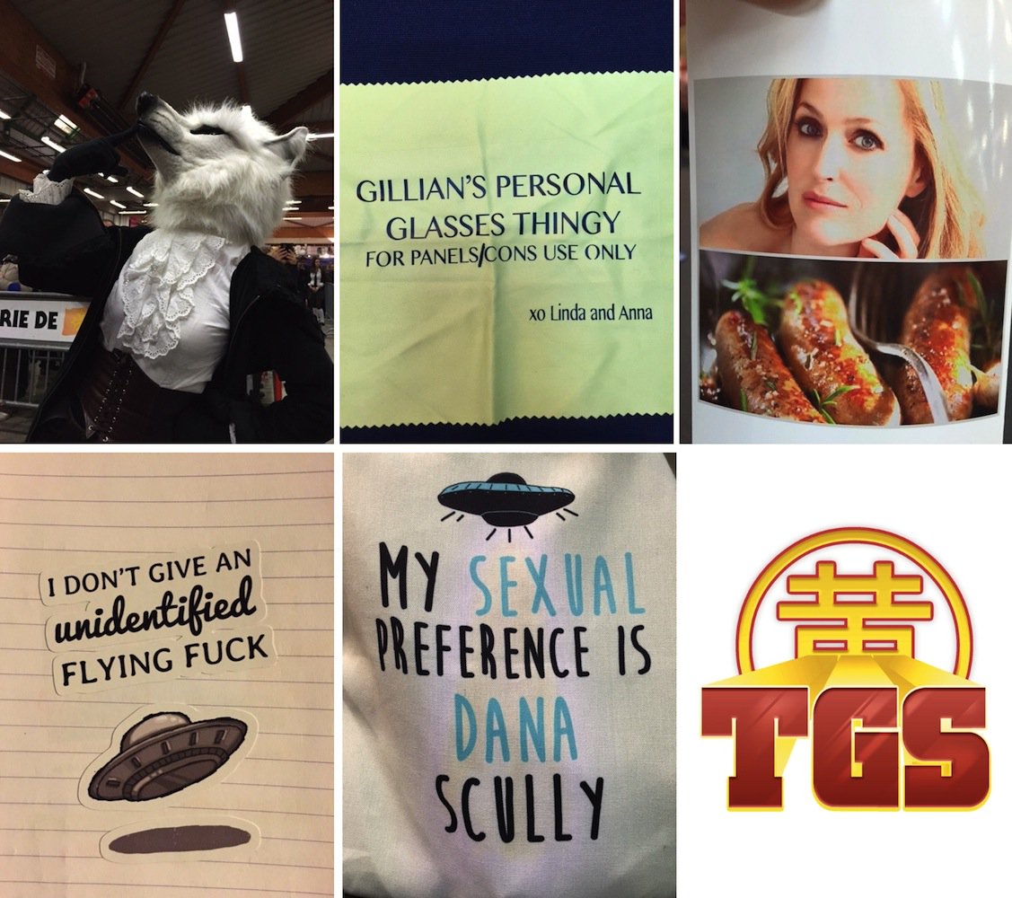 Favorite moments from Toulouse Comic Con! Thank you everyone for making it special! #TGS2015 https://t.co/FQQxWp73Kd