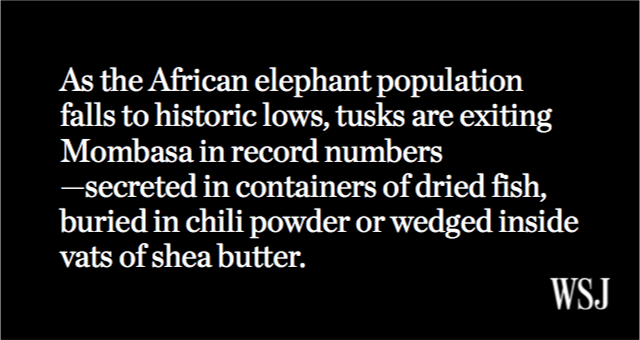 RT @WSJ: How Kenya’s port of Mombasa became the world’s hub for ivory smuggling https://t.co/CLtnY0ia6H https://t.co/hEcyv3norf