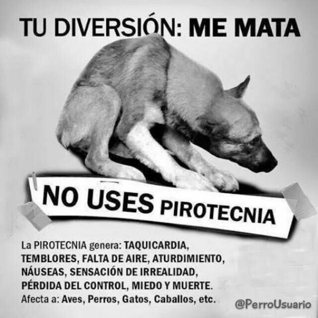 DINERO POR FAVOR dinero por favor: