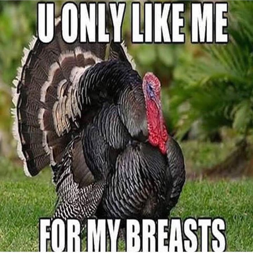 RT @FergaliciousBF: Whatcha gonna do w/ all that #breast.All that breast inside that #turkey? #HappyThanksgiving https://t.co/UqgHDzOWwS ht…