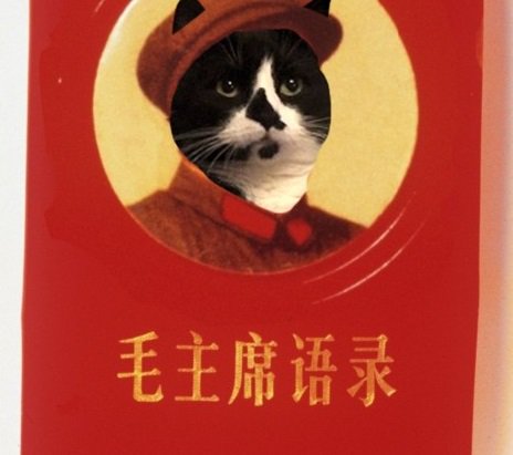 http://pbs.twimg.com/media/CVAiKRdUAAAHgdD.jpg