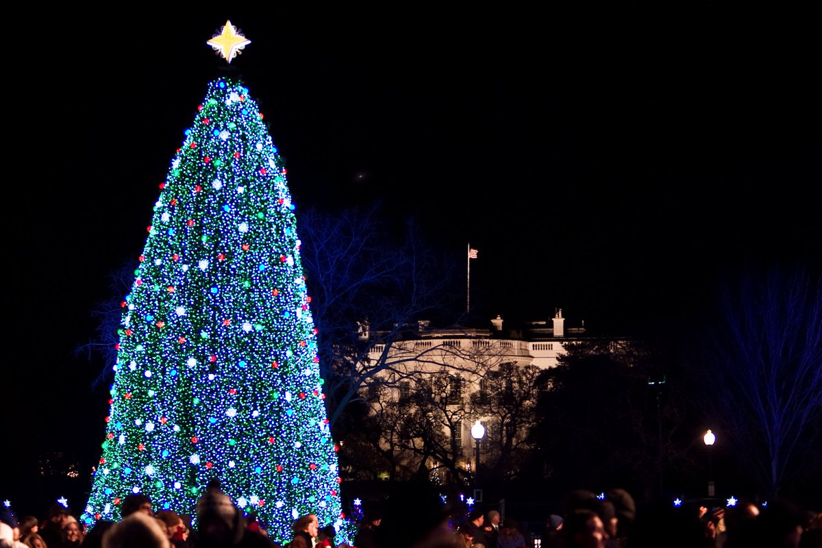 RT @TheNationalTree: I'm on PINES and NEEDLES waiting for #NCTL2015! Only a few days left: https://t.co/lZEiZB3qnP #TreePuns https://t.co/o…