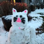 SnowCat