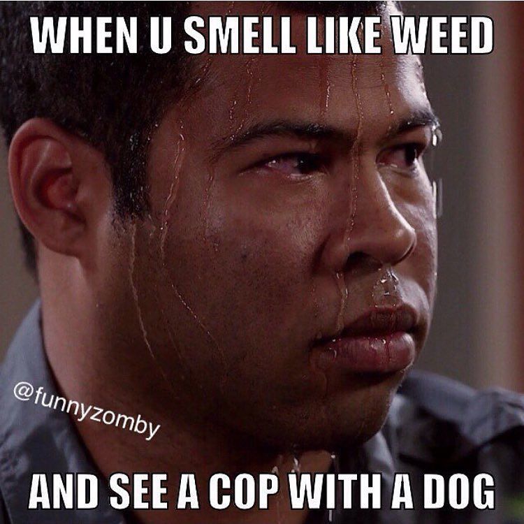Hahahaaha https://t.co/U6CIEG8FaN https://t.co/lldE8xXzaZ
