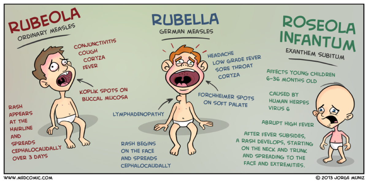 ãdifference between rubella and rubeolaãçåçæå°çµæ