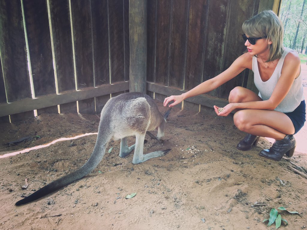 Me: Please love me.
Kangaroo: No. https://t.co/9CLnECzgF1