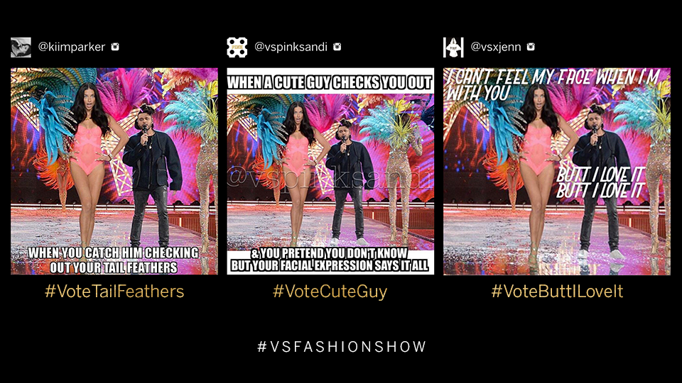 1st #MemeThis! Tweet to VOTE for ur fave meme: #VoteTailFeathers, #VoteCuteGuy OR #VoteButtILoveIt #VSFashionShow https://t.co/oJcD29SkzS