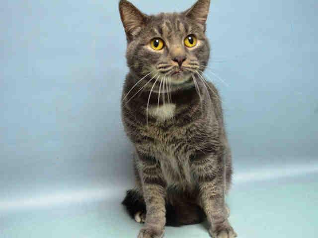 RT @URGENTPODR: PLEASE SHARE!! FELIX - A1059484 - D ...

Follow me here for more info and status updates: https://t.co/7ifssXOeWA https://t…