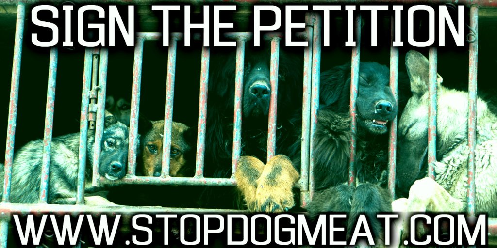 RT @LC4A: Please RT @pamfoundation  

LCA Shuts Down TWO China Dog Meat Slaughterhouses! https://t.co/7fDUzeHJhv https://t.co/176F0GWQLP