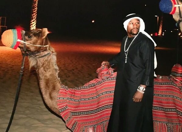 RT @visitdubai: .@FloydMayweather experiences the true meaning of Arabian Nights! https://t.co/ahsnQzmD5s