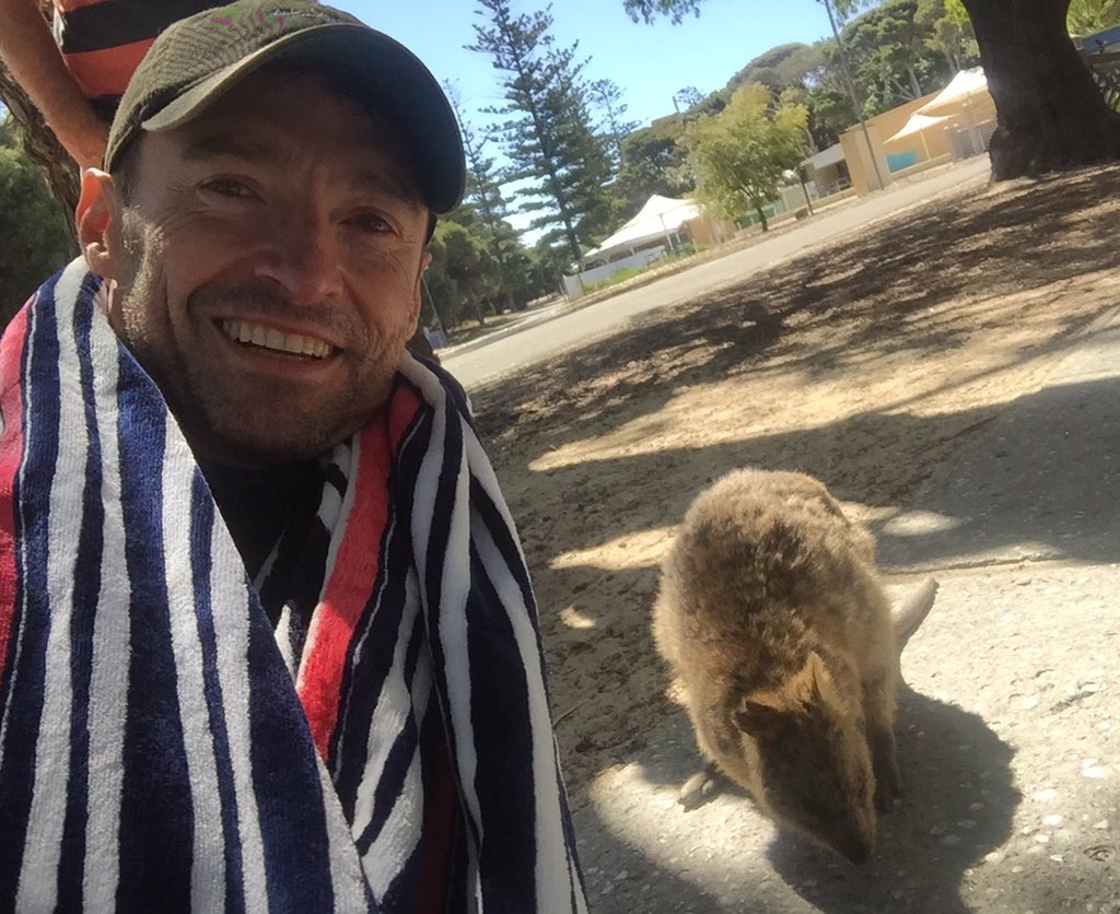Really wish I could have kept him/her?!?! #Quokka https://t.co/6KpsUMEiUH