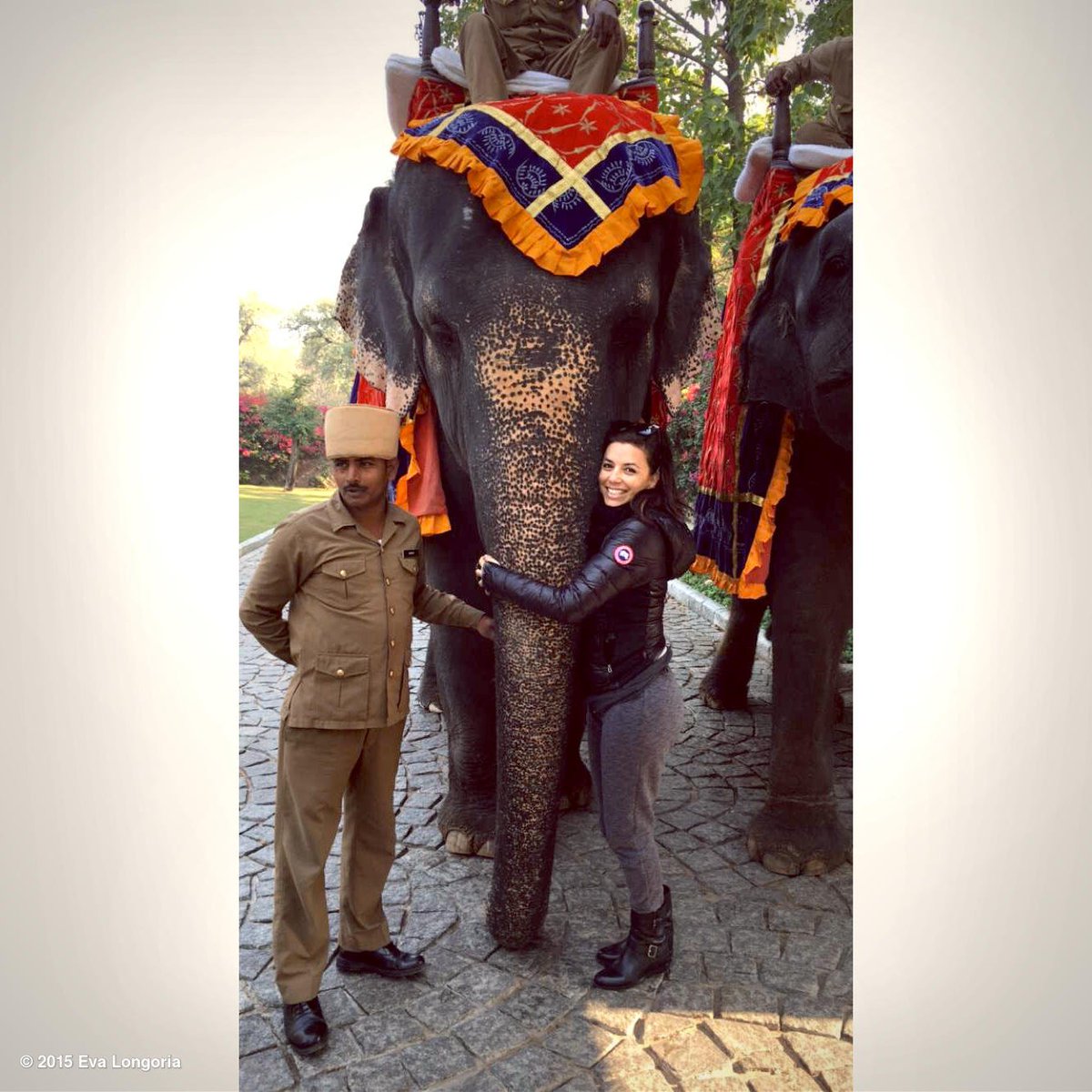 My new friend! #India #Elephants https://t.co/6YClBLiHGc